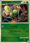 マダツボミ ミラー L3 001/080 1ED