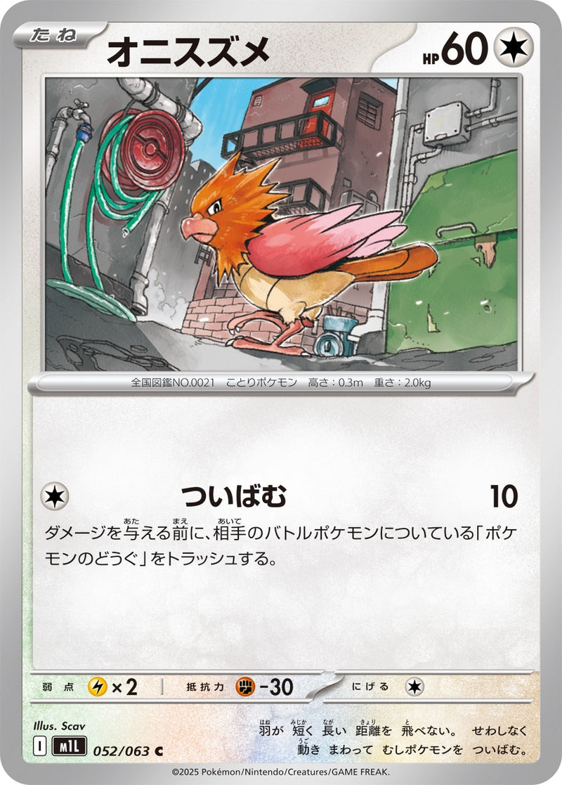 オニスズメ C M1L 052/063