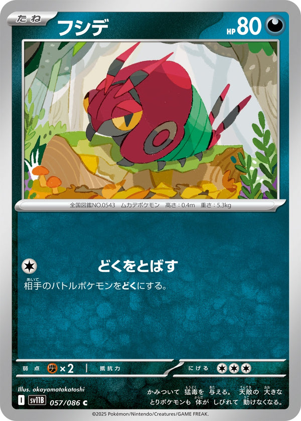 フシデ C SV11B 057/086