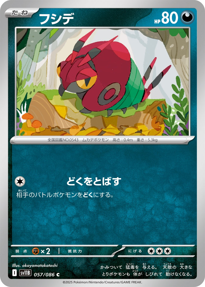 フシデ C SV11B 057/086