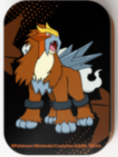 ポケモンカードゲーム ダメカンケース 海外版 エンテイ トレジャーボックス