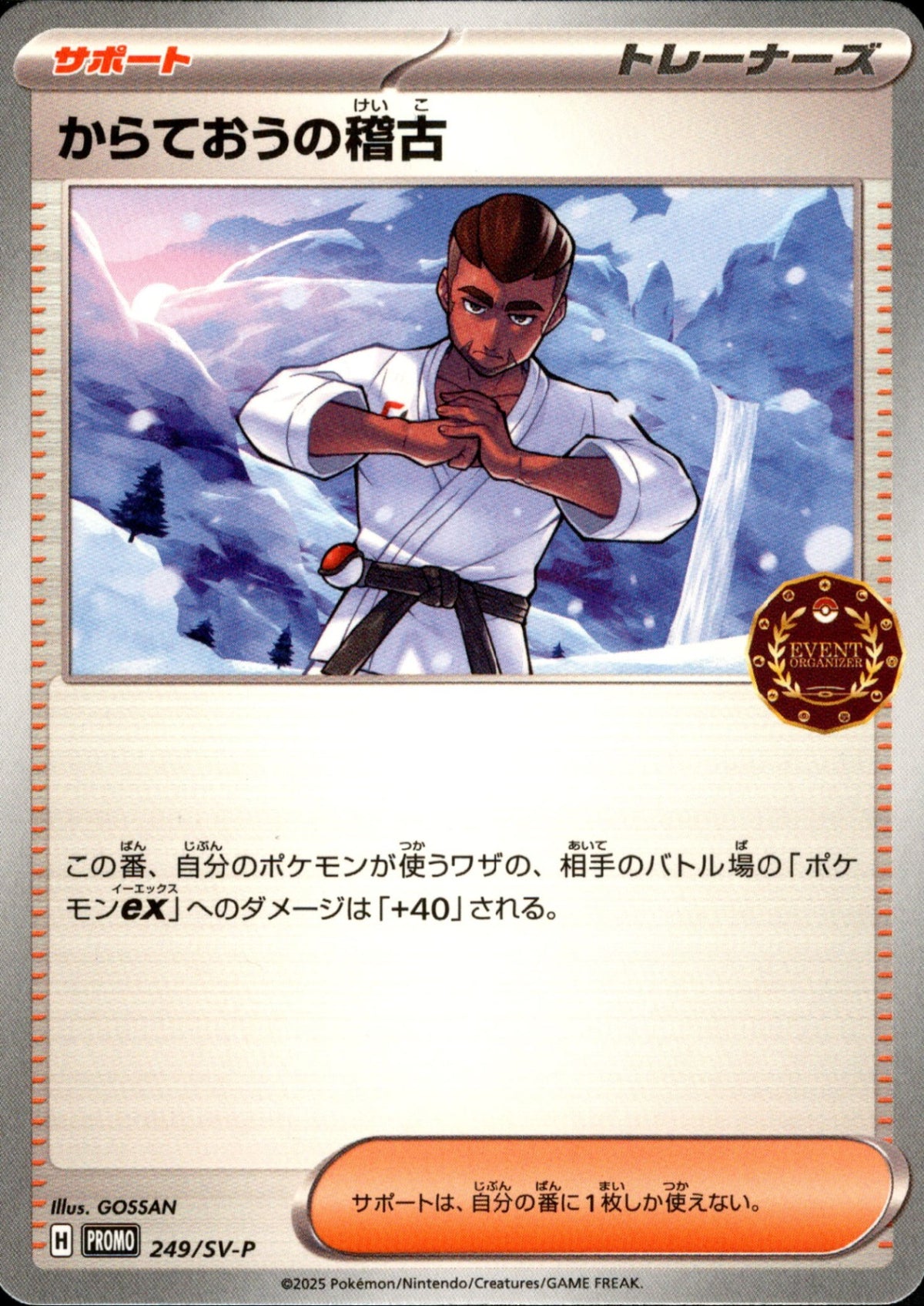 からておうの稽古 エラー ポケモンカード からておうの稽古 SR 220⁄