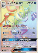 【状態C】ゲッコウガGX HR SM6 103/094 【KK】