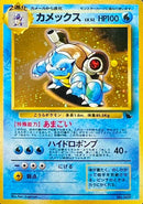 【状態D】カメックス 1st_intro 002/002