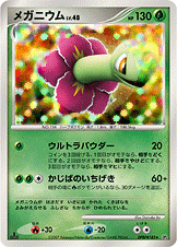 【状態B+】メガニウム DP2 DPBP