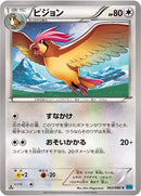 ピジョン C XY2 062/080