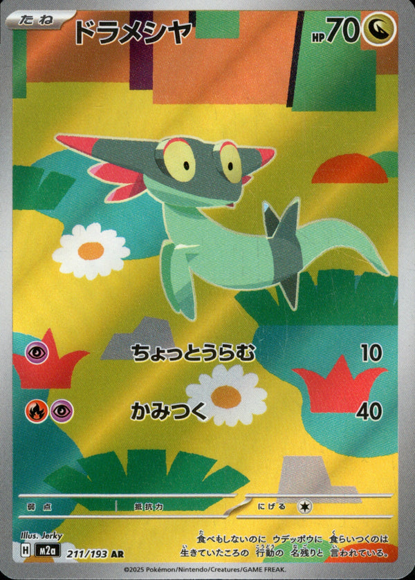 ドラメシヤ AR M2a 211/193