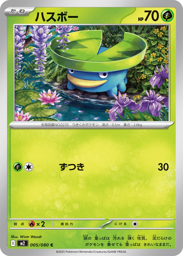 ハスボー C M2 005/080