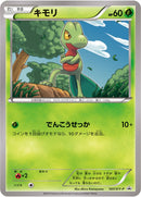 キモリ PROMO 107/XY-P