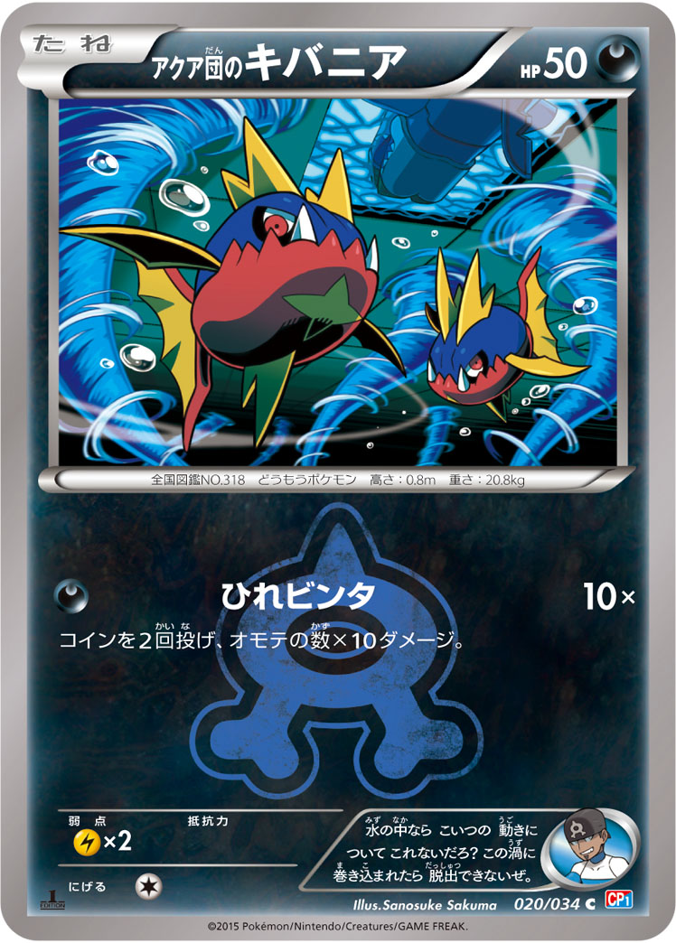 CP1 / マグマ団VSアクア団 ダブルクライシス