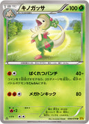 キノガッサ U XY5 008/070