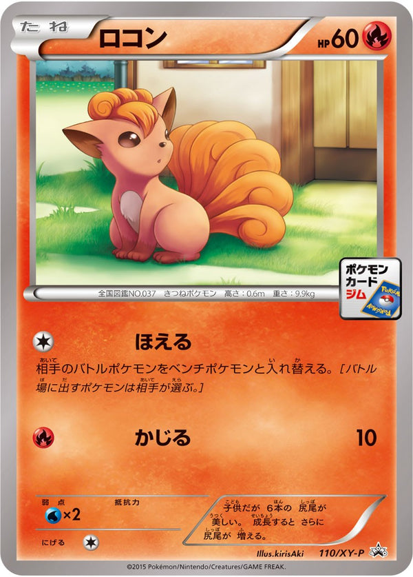 【状態B】ロコン PROMO 110/XY-P