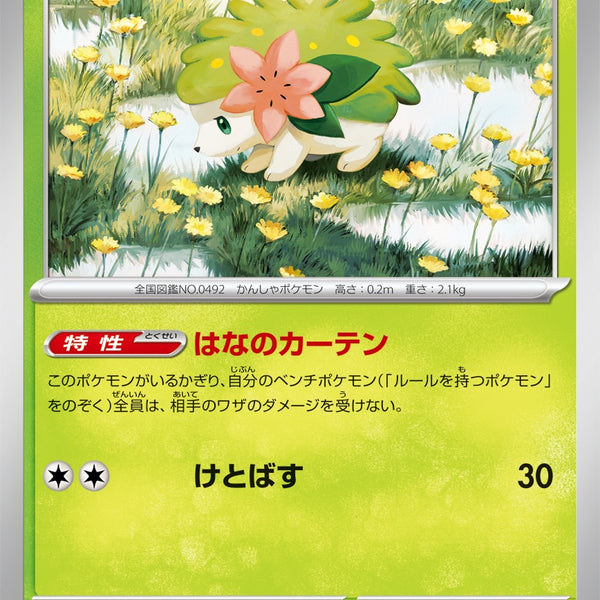 シェイミ U SV9a 006/063