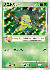 PSA10)ナエトル PROMO 001/PPP