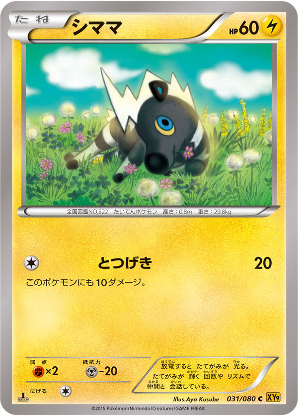 【状態B】シママ C XY9 031/080