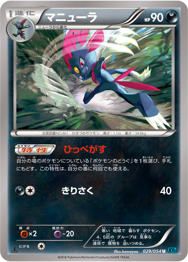 【状態B】マニューラ U XY11 029/054