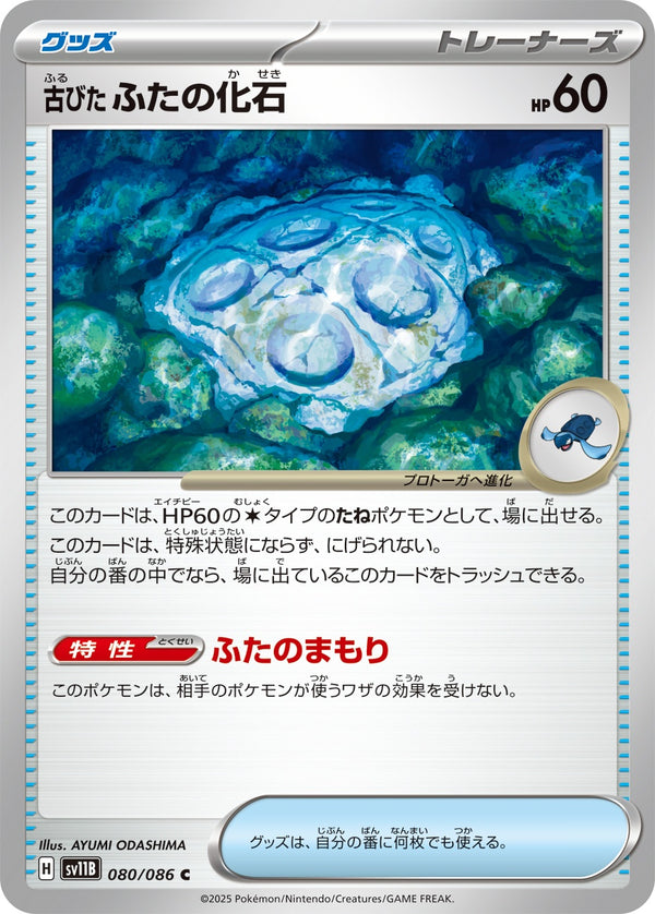 古びたふたの化石 C SV11B 080/086