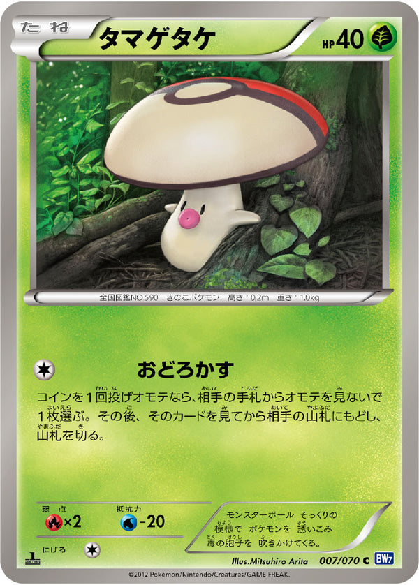 BW7 / プラズマゲイル