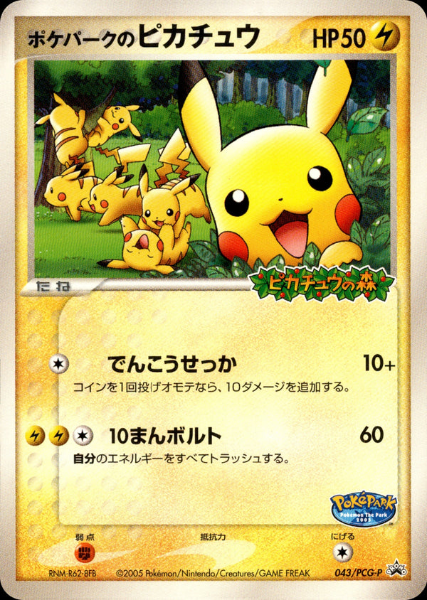 ADV・PCG / プロモ