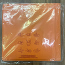 ポケモンカードゲーム コレクションファイル 海外版 ブースター