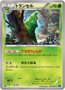 トランセル C XY2 002/080