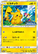 PSA10)ピカチュウ PROMO 179/SM-P