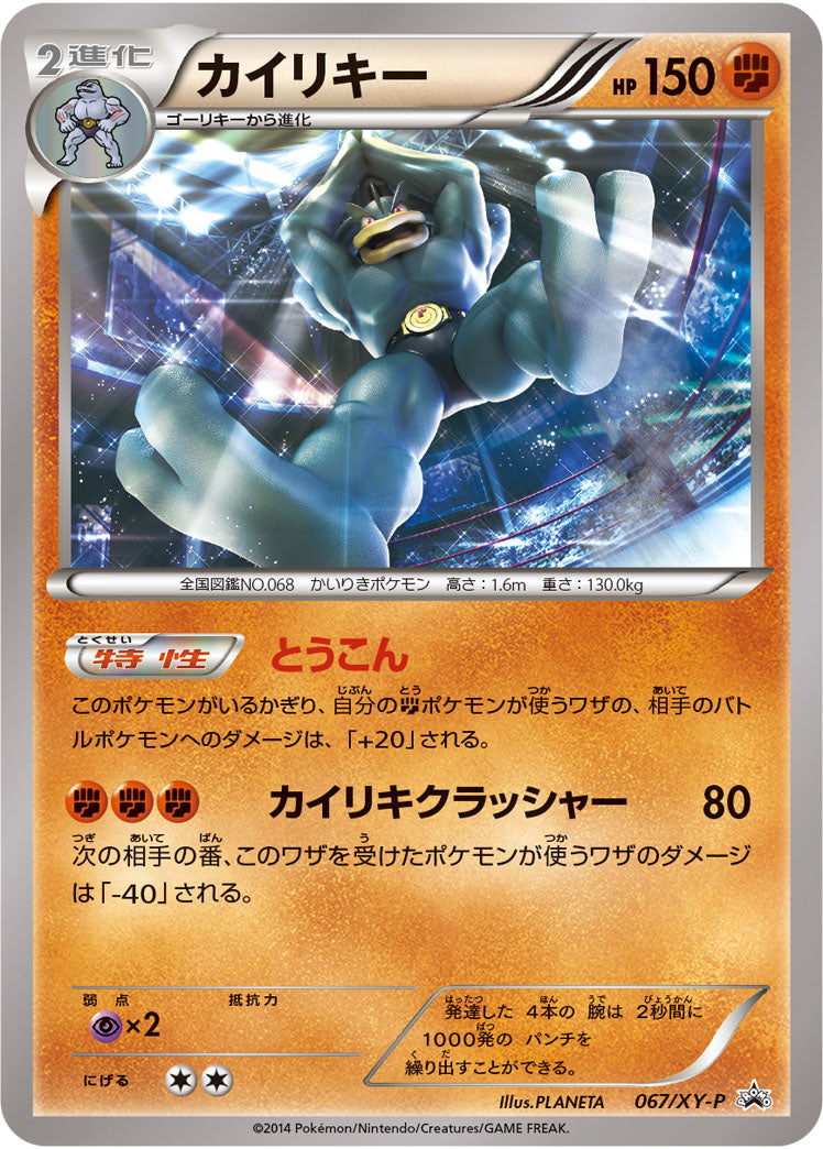 カイリキー PROMO 067/XY-P