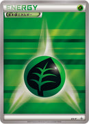 【状態C】基本草エネルギー PROMO XY-P ストライプ