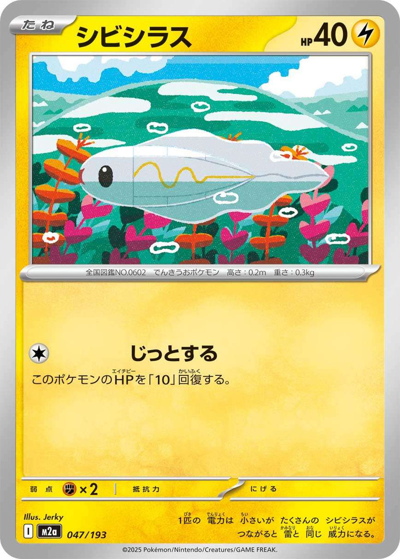 シビシラス  M2a 047/193