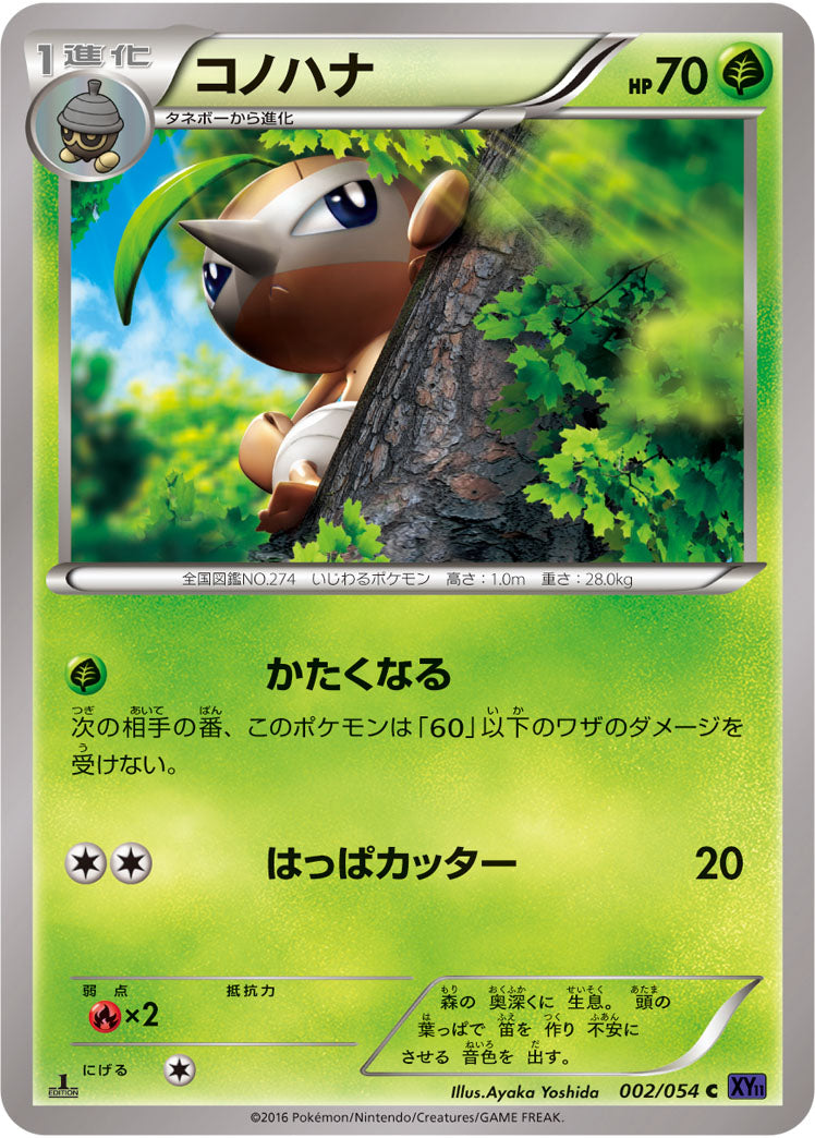 XY11 / 爆熱の闘士
