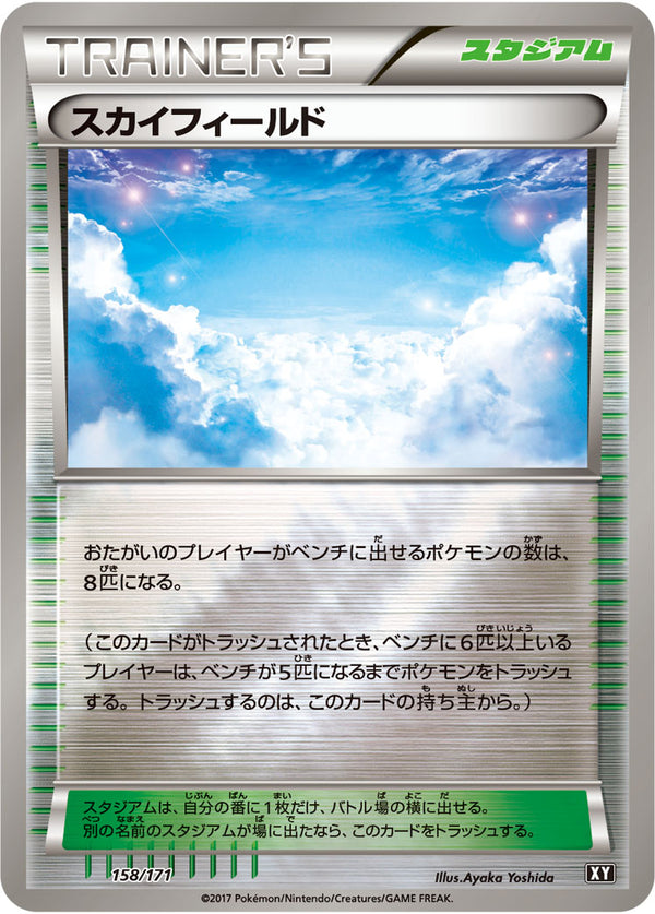 【状態A-】スカイフィールド ミラー XY 158/171