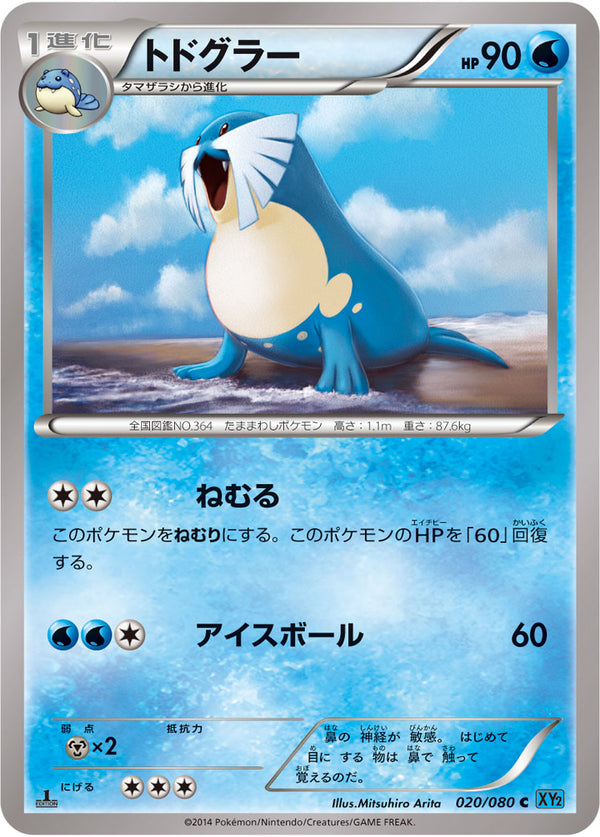 XY2 / ワイルドブレイズ