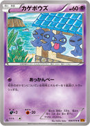 カゲボウズ C XY6 026/078