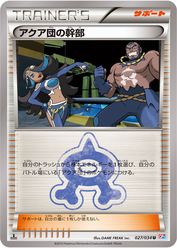 CP1 / マグマ団VSアクア団 ダブルクライシス