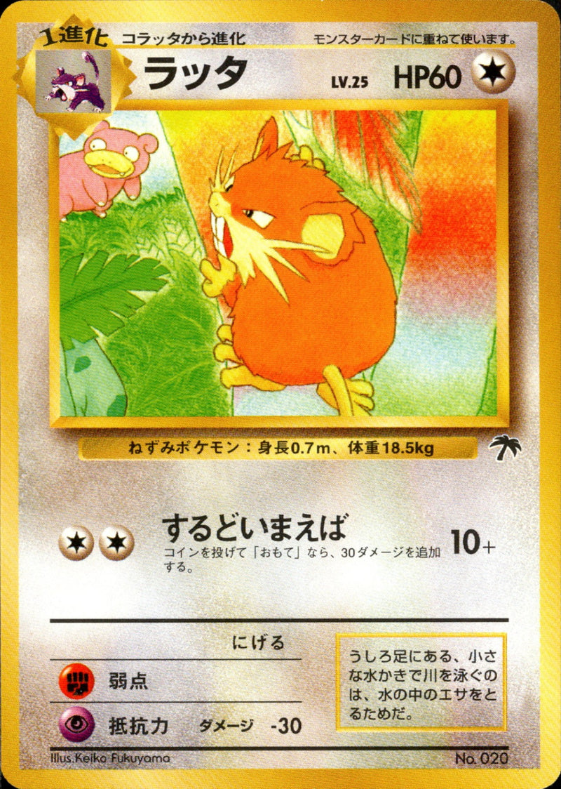 サザンアイランド / Southern Islands