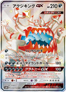 【状態B+】アクジキングGX SSR SM8b 232/150 【K】