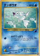 テッポウオ introW 010/030 ⑩