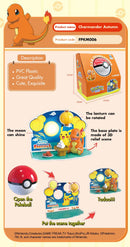 HAPPY Pokémon FESTIVAL Autumn ヒトカゲ