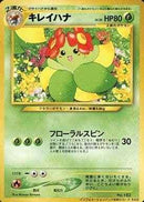 キレイハナ neoPROMO 「インフォメーションパック」