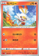 ヒバニー SA 006/023