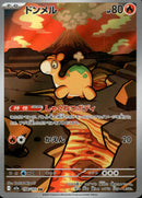 ドンメル AR M2a 198/193