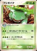 フシギバナ PROMO 003/PCG-P