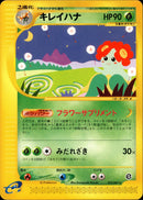 キレイハナ e3 019/087 【アンリミ】