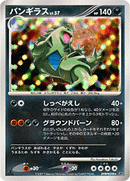 【状態B】バンギラス DP2 DPBP