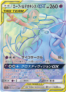 エーフィ＆デオキシスGX HR SM12a 212/173 【K】