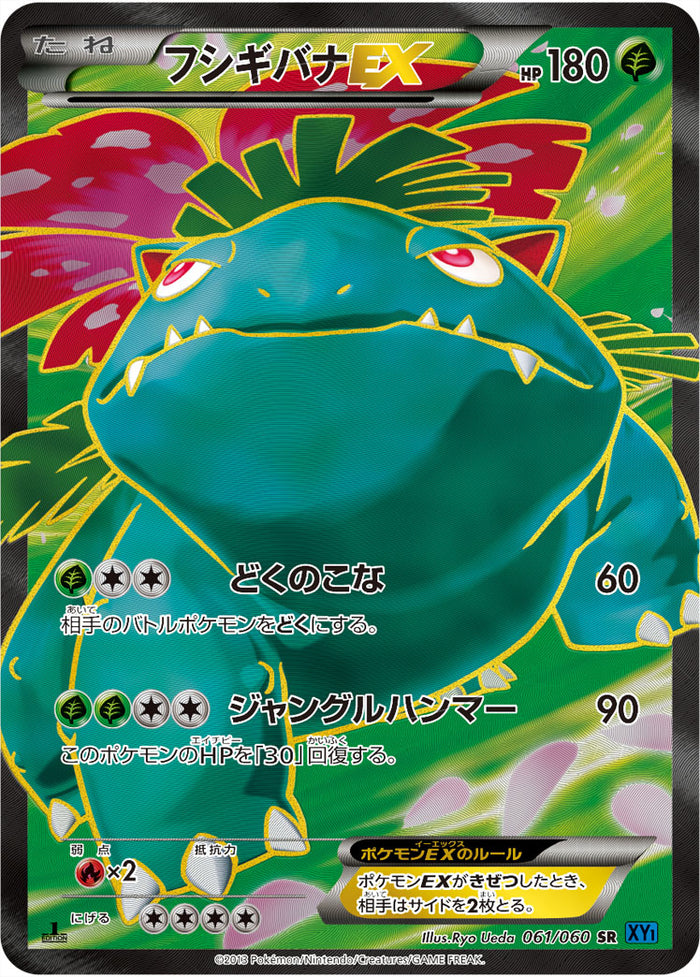 XY1 / コレクションX XY1 / コレクションX