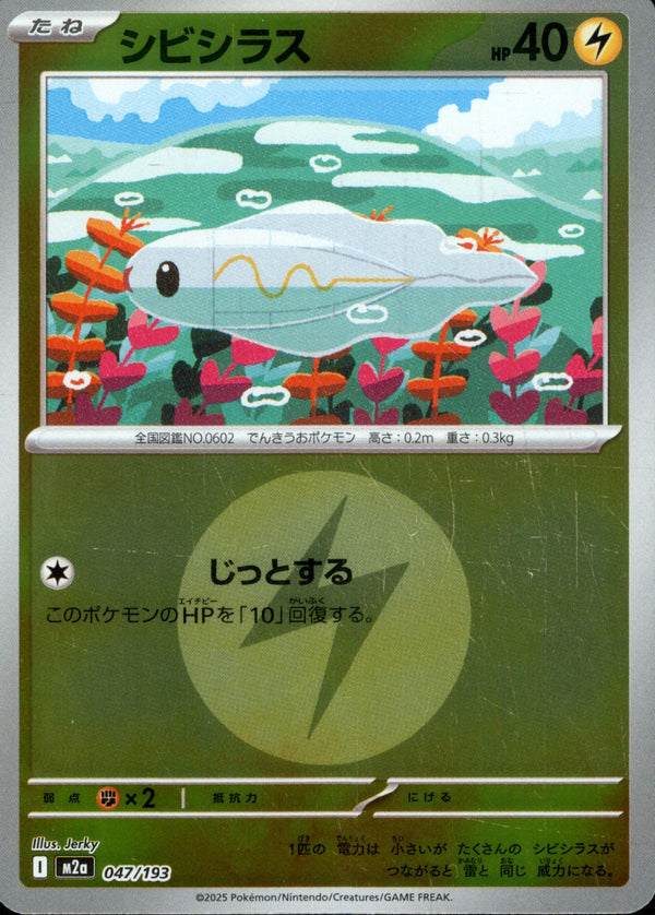 タイプ)シビシラス ミラー M2a 047/193