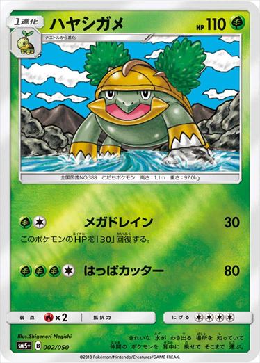 ハヤシガメ  SM5+ 002/050