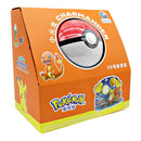 HAPPY Pokémon FESTIVAL Autumn ヒトカゲ