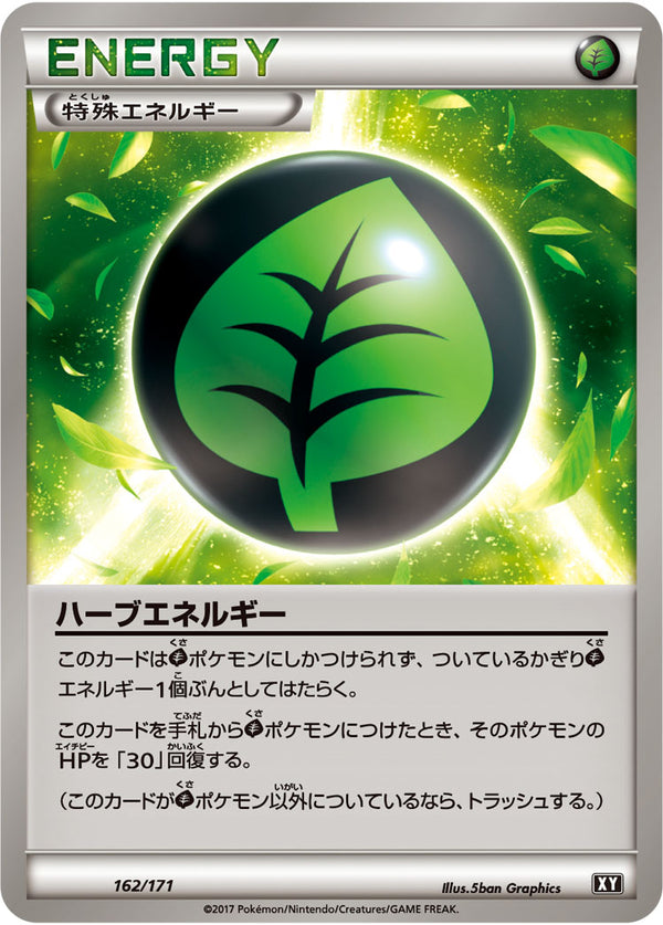 【状態B】ハーブエネルギー  XY 162/171